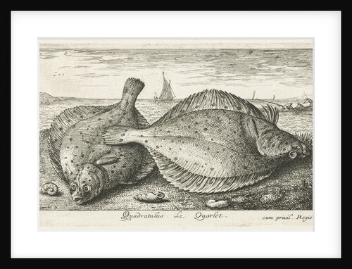 Two plaice on the beach by Reinier Craeyvanger