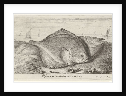 Two turbot on the beach by Lodewijk XIV