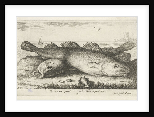 Two codfish at the beach by Albert Flamen