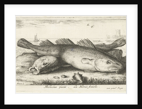 Two codfish at the beach by Albert Flamen