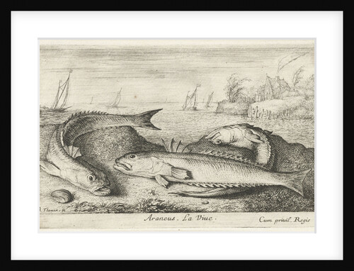 Three weevers on the beach by Albert Flamen