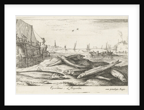 Six smelts on the beach by Albert Flamen