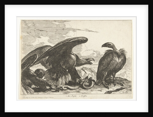 Vulture and an eagle with snake by De Poilly