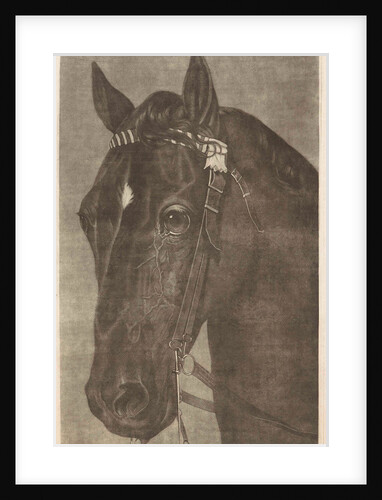 Head of a horse with a bridle by Guy Head