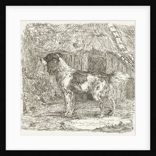 A dog by Jan Dasveldt