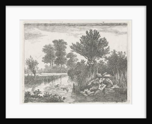 Ducks in a ditch by Hermanus Jan Hendrik van Rijkelijkhuysen