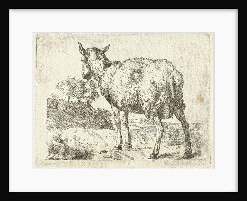 A sheep by Marcus de Bye