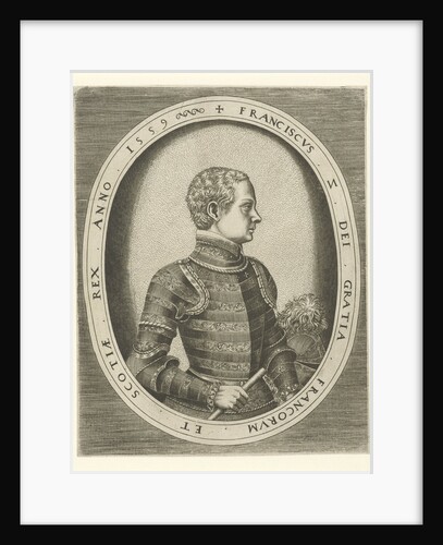 Portrait of King Francis II of France by Hieronymus Cock