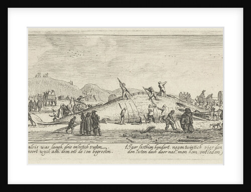 Whale stranded in Noordwijk, The Netherlands 1629 by Anonymous