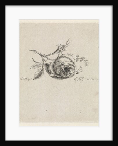 A rose and forget-me-nots by Elisabeth Johanna Koning