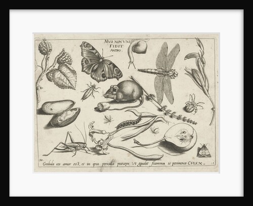 Animals, plants and fruits around a mouse by Joris Hoefnagel