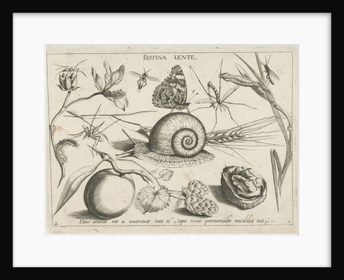 Animals, plants and fruits around a snail by Christoph Weigel