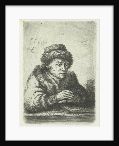 Adult male by Jan Chalon