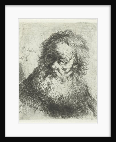 Bust of an Old Man by Jan Chalon