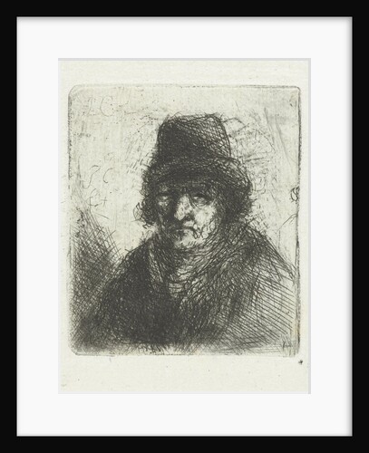 Adult male by Jan Chalon