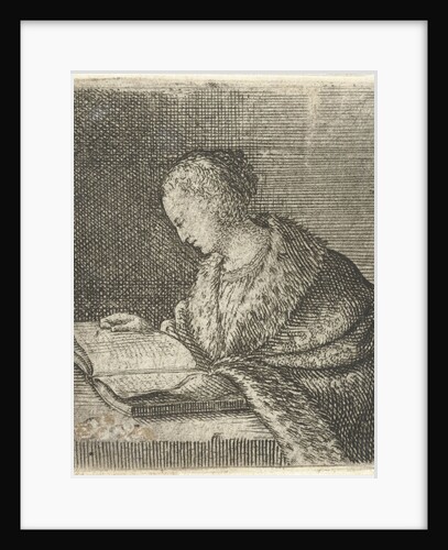 Woman Reading by Willem Basse