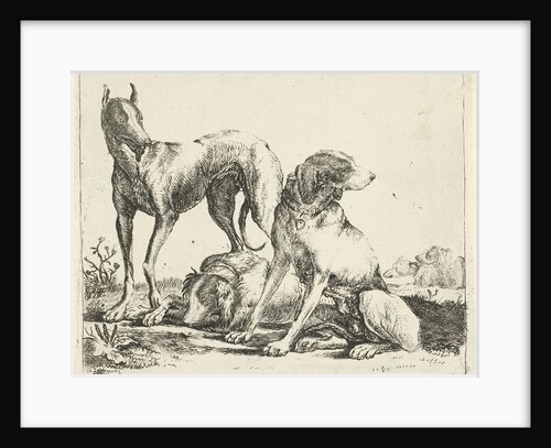 Three dogs by Pauwels van Hillegaert