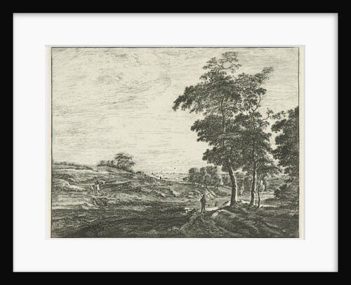 At the edge of The Hague Forest by Roelant Roghman