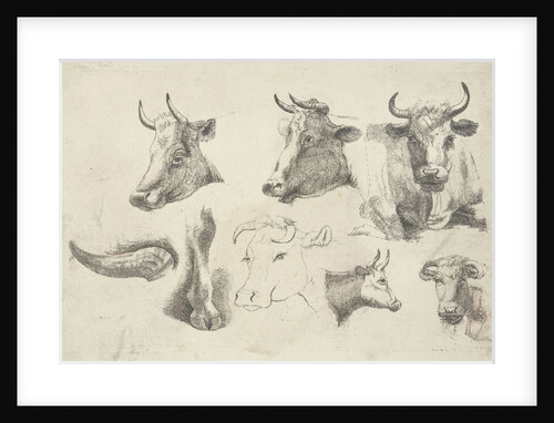 Study Sheet with heads of cows by Andries Leijerdorp