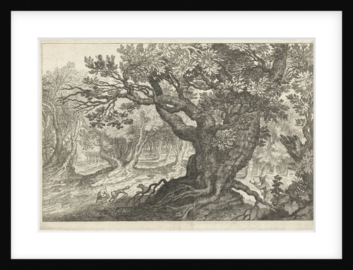 Fox Hunt in a forest by Anonymous