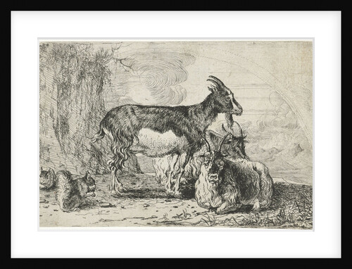 Goats by Jan van den Hecke I