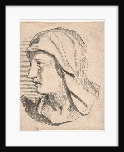 Female Bust, with shoulders drooping veil by Jan Snellen