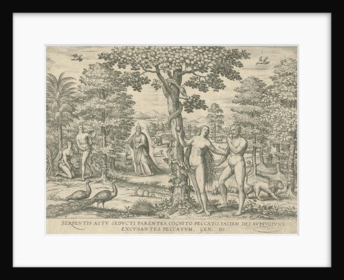 Fall by Symon Novelanus