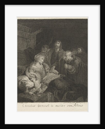 Christ heals the mother of Peter by Johannes Pieter de Frey