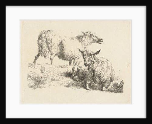 Lying sheep with halter and a standing sheep by Anonymous