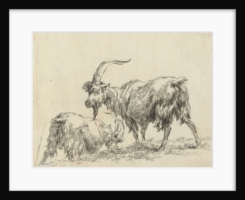 Two goats or goats by Nicolaes Pietersz. Berchem