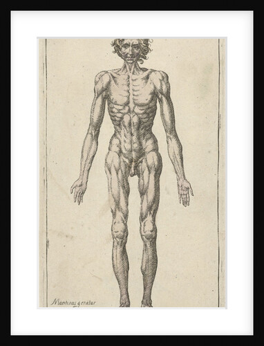 Study of a naked man by Pieter Feddes van Harlingen