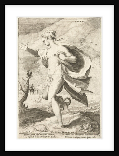 Tactvs by Petrus Overraat