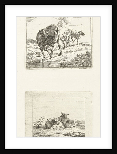 Two scenes with cows by Jan Matthias Cok