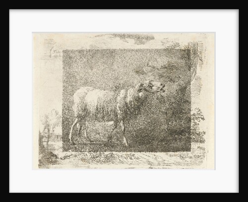 Single sheep by Frédéric Théodore Faber