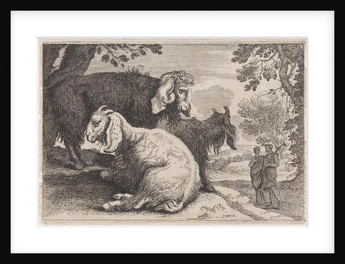 Angora sheep by Herman van Swanevelt