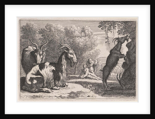 Goats by Herman van Swanevelt