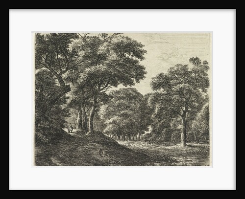 Marskramer with a water feature by Anthonie Waterloo