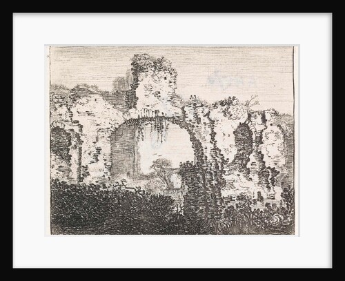 Overgrown ruins by Jan Ruyscher