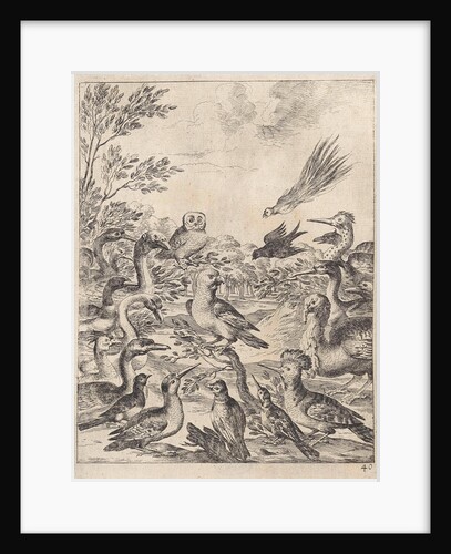 Parliament of birds by John Ogilby