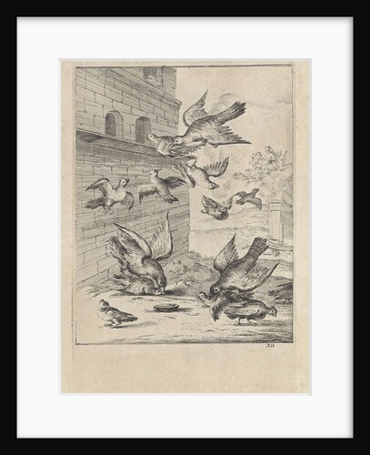 Fable of the doves and the hawks by John Ogilby