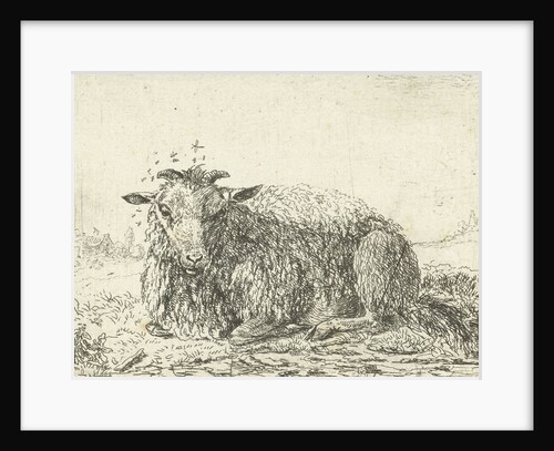 Sheep flying by Karel Dujardin