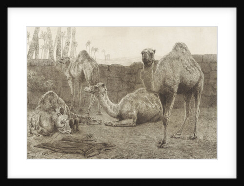 Camels by August Le Gras