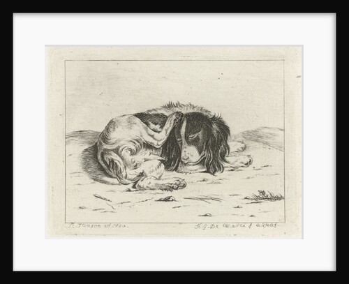 Sleeping dog by Hendrik Godart de Marée