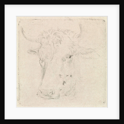 Ox head by Peter Janson