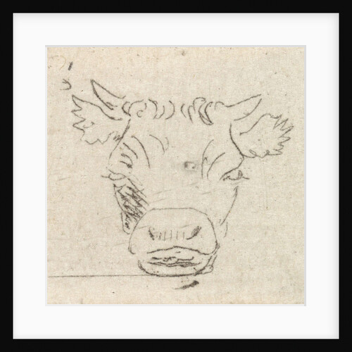 Calf's head, from the front by Pieter Janson