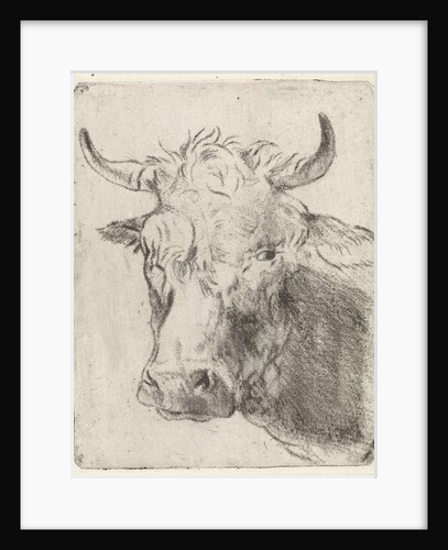 Ox head, left by Pieter Janson