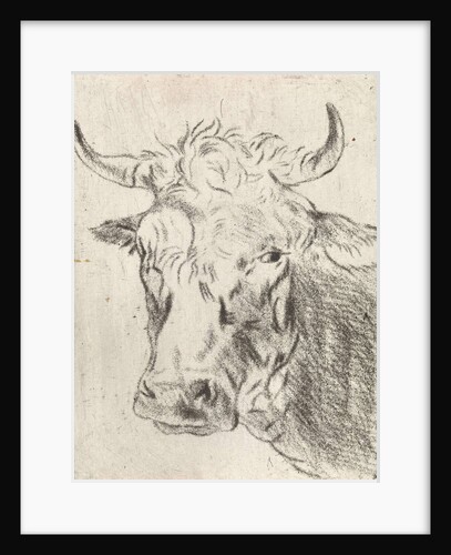 Ox head, left by Pieter Janson