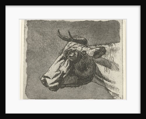 cow by Johannes Janson