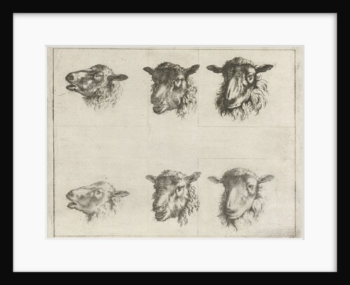 Study Sheet with six sheep ' by Johannes Janson