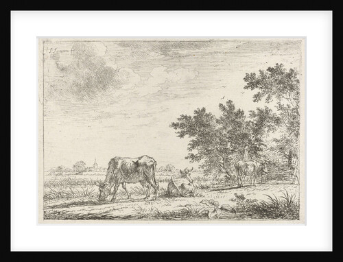 Three cows in pasture by John Janson